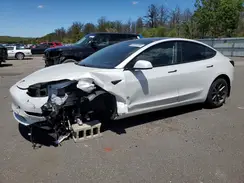 5YJ3E1EA8MF857843 2021 TESLA MODEL 3