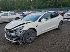 5YJ3E1EA8MF877025 2021 TESLA MODEL 3