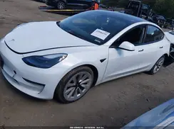 5YJ3E1EA8PF437942 2023 TESLA MODEL 3