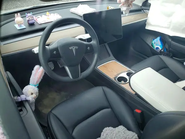 5YJ3E1EA8PF493508 2023 TESLA MODEL 3 - Image 8