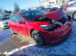 5YJ3E1EA8PF501557 2023 TESLA MODEL 3