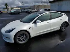 5YJ3E1EA8PF503065 2023 TESLA MODEL 3