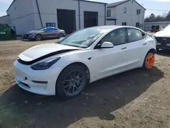 5YJ3E1EA8PF510419 2023 TESLA MODEL 3