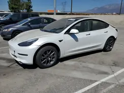 5YJ3E1EA8PF517449 2023 TESLA MODEL 3