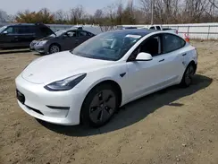 5YJ3E1EA8PF559216 2023 TESLA MODEL 3
