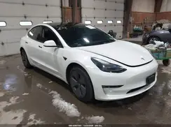 5YJ3E1EA8PF567333 2023 TESLA MODEL 3