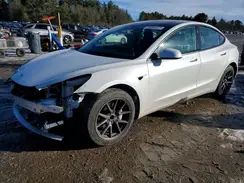 5YJ3E1EA8PF568823 2023 TESLA MODEL 3
