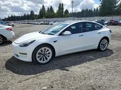5YJ3E1EA8PF644881 2023 TESLA MODEL 3