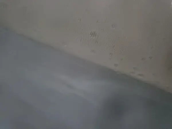 5YJ3E1EA8PF703704 2023 TESLA MODEL 3 - Image 8