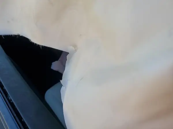 5YJ3E1EA8SF903961 2025 TESLA MODEL 3 - Image 8