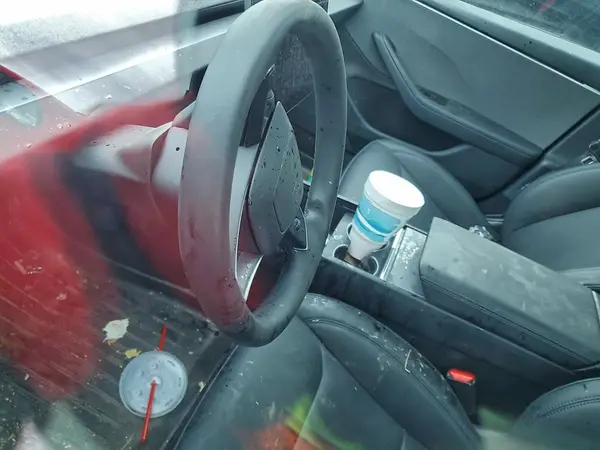 5YJ3E1EA8SF989904 2025 TESLA MODEL 3 - Image 8