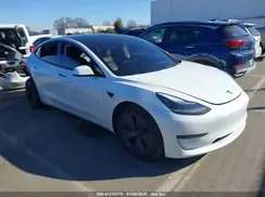 5YJ3E1EA9MF031079 2021 TESLA MODEL 3