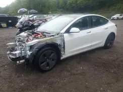 5YJ3E1EA9MF851453 2021 TESLA MODEL 3