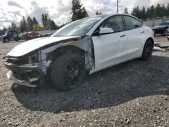 5YJ3E1EA9NF190637 2022 TESLA MODEL 3