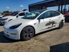 5YJ3E1EA9PF398200 2023 TESLA MODEL 3