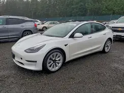 5YJ3E1EA9PF436797 2023 TESLA MODEL 3