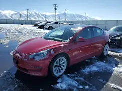 5YJ3E1EA9PF455365 2023 TESLA MODEL 3