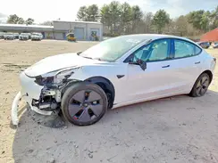 5YJ3E1EA9PF481299 2023 TESLA MODEL 3