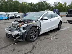5YJ3E1EA9PF489161 2023 TESLA MODEL 3