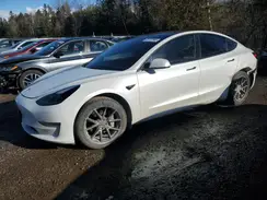 5YJ3E1EA9PF491136 2023 TESLA MODEL 3