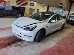 5YJ3E1EA9PF498698 2023 TESLA MODEL 3