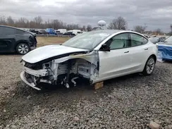 5YJ3E1EA9PF542960 2023 TESLA MODEL 3