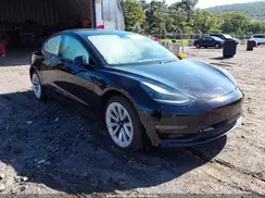 5YJ3E1EA9PF644842 2023 TESLA MODEL 3