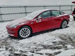 5YJ3E1EA9PF654531 2023 TESLA MODEL 3