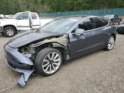 5YJ3E1EAXKF425462 2019 TESLA MODEL 3