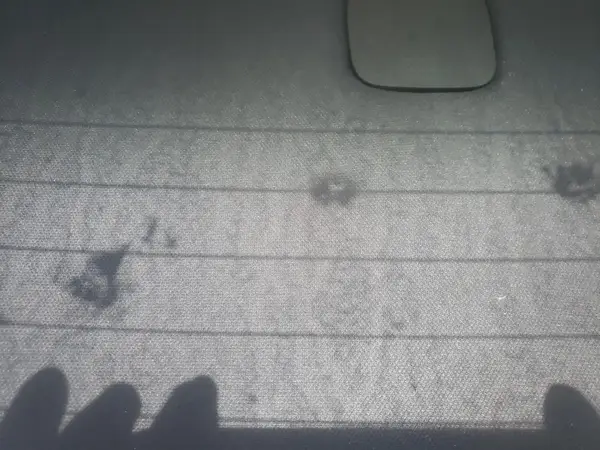 5YJ3E1EAXLF504177 2020 TESLA MODEL 3 - Image 8