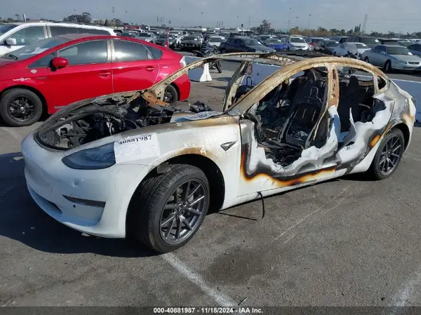 5YJ3E1EAXLF612654 2020 TESLA MODEL 3 - Image 2