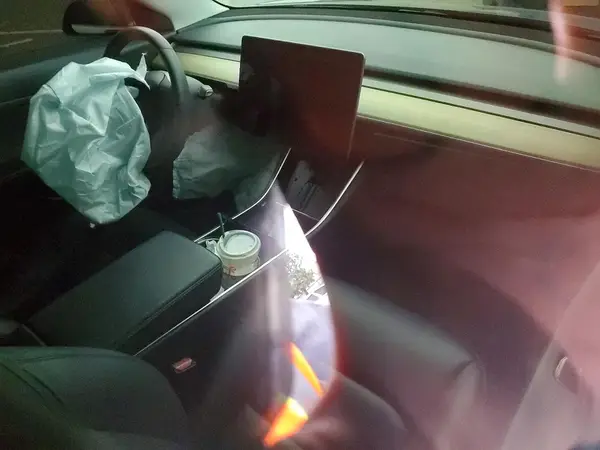 5YJ3E1EAXLF661417 2020 TESLA MODEL 3 - Image 8