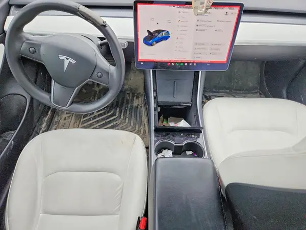 5YJ3E1EAXLF784098 2020 TESLA MODEL 3 - Image 8