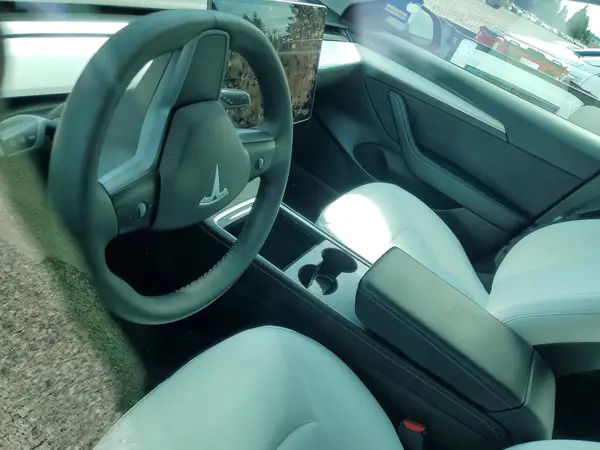 5YJ3E1EAXMF048814 2021 TESLA MODEL 3 - Image 8