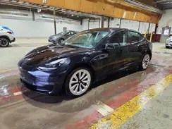 5YJ3E1EAXPF446786 2023 TESLA MODEL 3