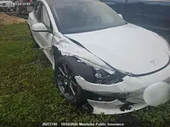 5YJ3E1EAXPF466889 2023 TESLA MODEL 3