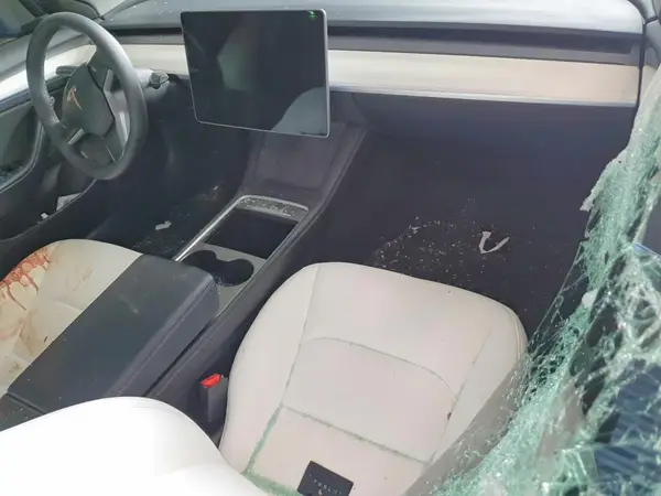5YJ3E1EAXPF503536 2023 TESLA MODEL 3 - Image 8