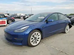 5YJ3E1EAXPF546533 2023 TESLA MODEL 3