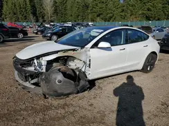 5YJ3E1EAXPF555233 2023 TESLA MODEL 3