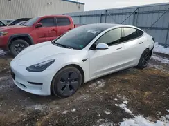 5YJ3E1EAXPF599037 2023 TESLA MODEL 3