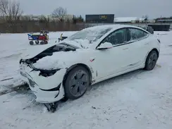 5YJ3E1EAXPF610313 2023 TESLA MODEL 3