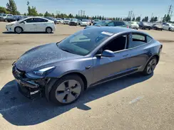 5YJ3E1EAXPF713067 2023 TESLA MODEL 3