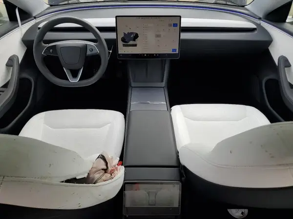 5YJ3E1EAXSF924259 2025 TESLA MODEL 3 - Image 8