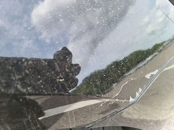 5YJ3E1EB0KF199215 2019 TESLA MODEL 3 - Image 8