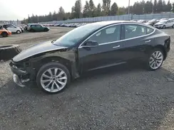 5YJ3E1EB0KF433546 2019 TESLA MODEL 3