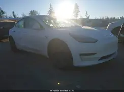 5YJ3E1EB0KF481855 2019 TESLA MODEL 3