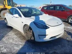 5YJ3E1EB0KF493617 2019 TESLA MODEL 3
