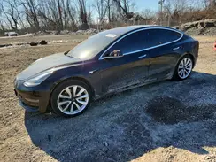 5YJ3E1EB0KF497344 2019 TESLA MODEL 3