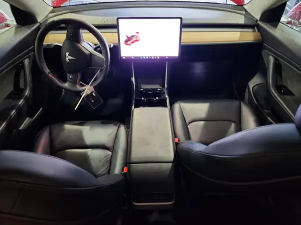5YJ3E1EB0LF664190 2020 TESLA MODEL 3 - Image 8