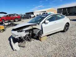5YJ3E1EB0LF665534 2020 TESLA MODEL 3